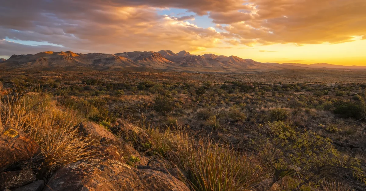 New Mexico area scenery